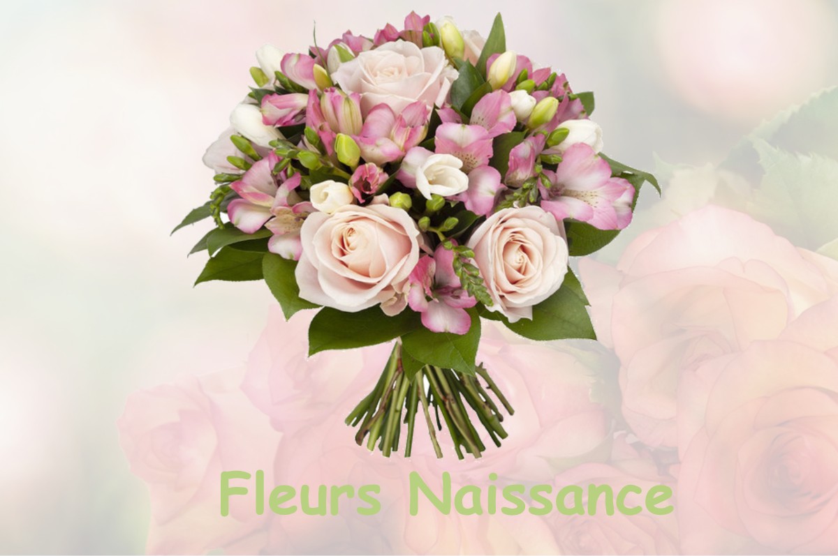 fleurs naissance SAINT-CERNIN-DE-LABARDE